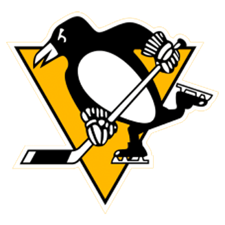 USA | NHL | Pittsburgh Penguinsⓧ